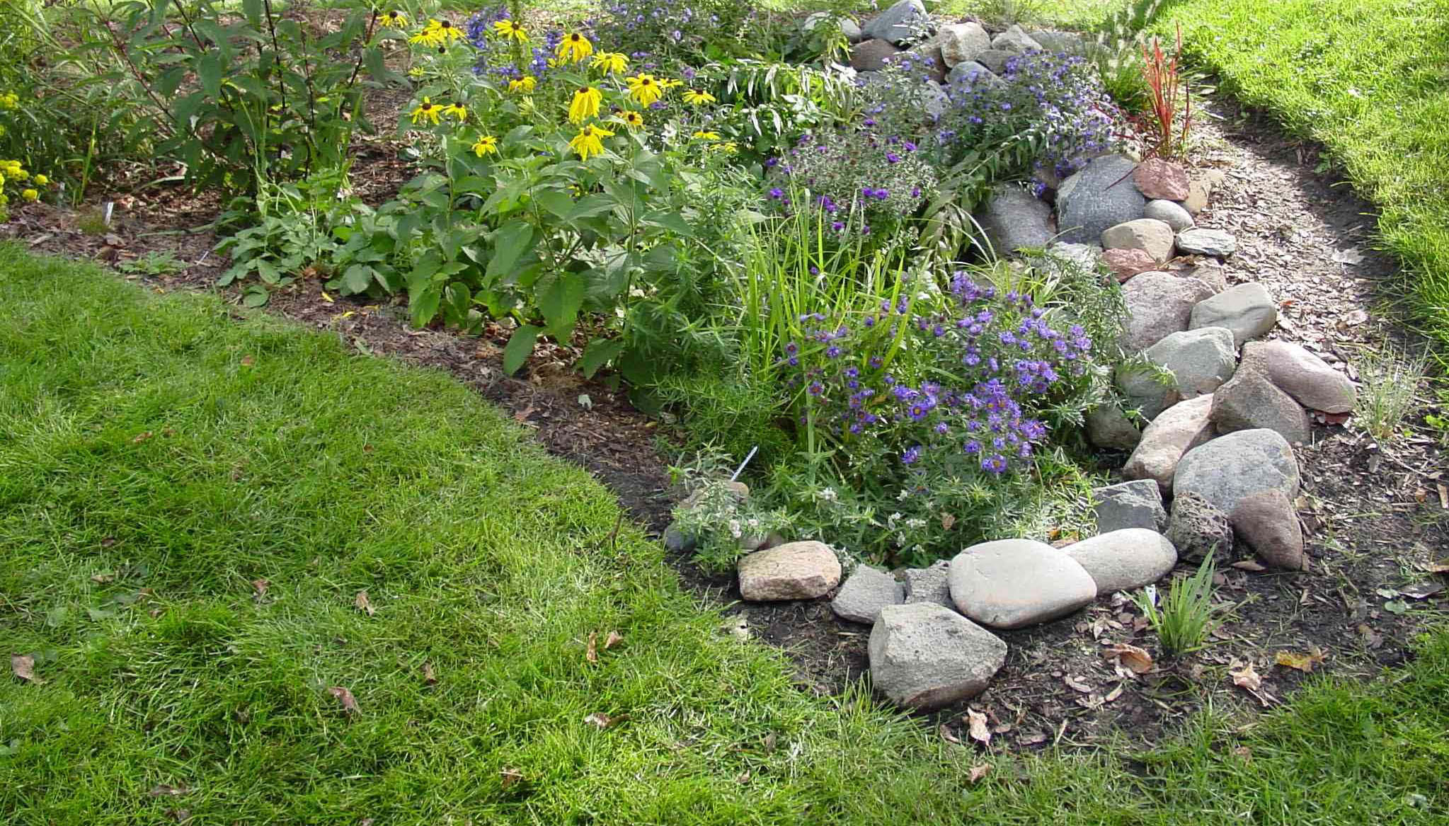 Indy Rain Gardens Urban Patch
