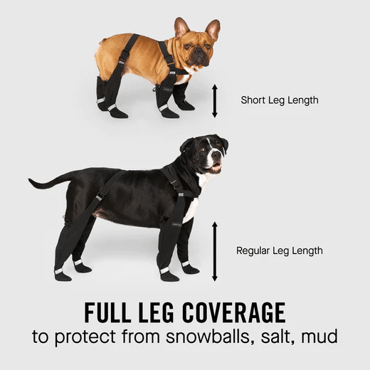 CANADA POOCH Suspender Boots | Urban Paws