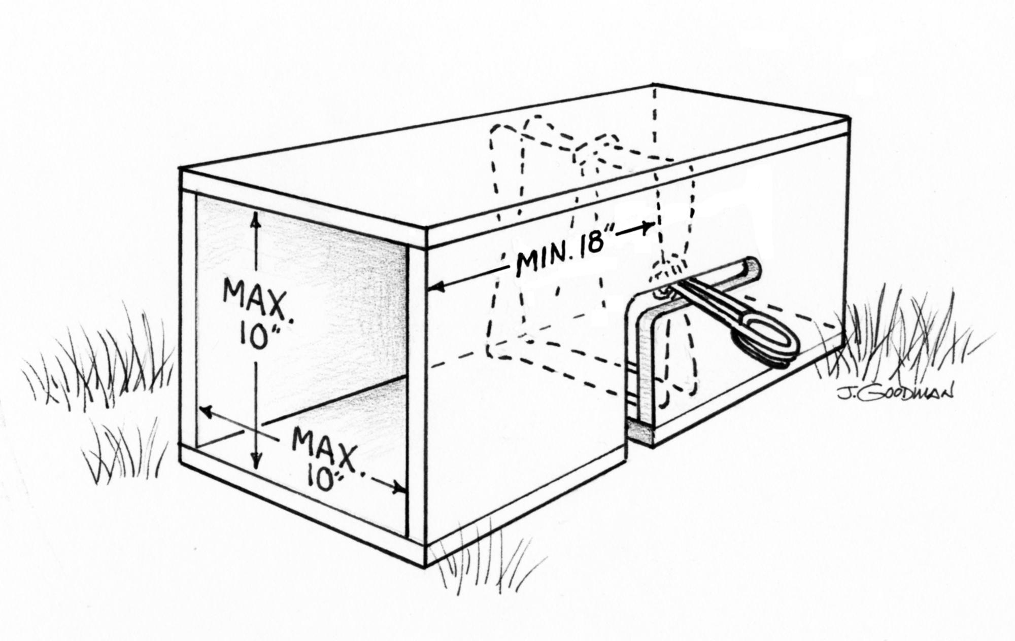 Home Urban Raccoon Trapping