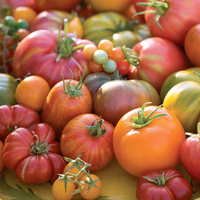Heirloom Plants, Heritage Plants, Vegetables, Urban Roots, Buffalo NY