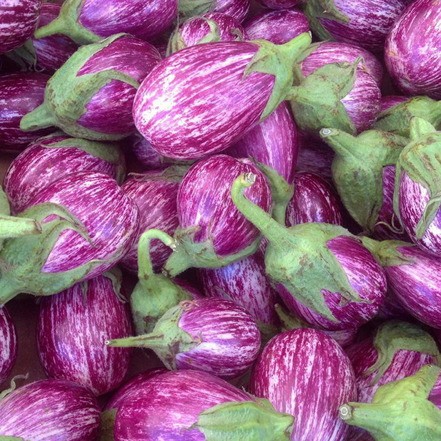 Heirloom Plants, Heritage Plants, Vegetables, Urban Roots, Buffalo NY