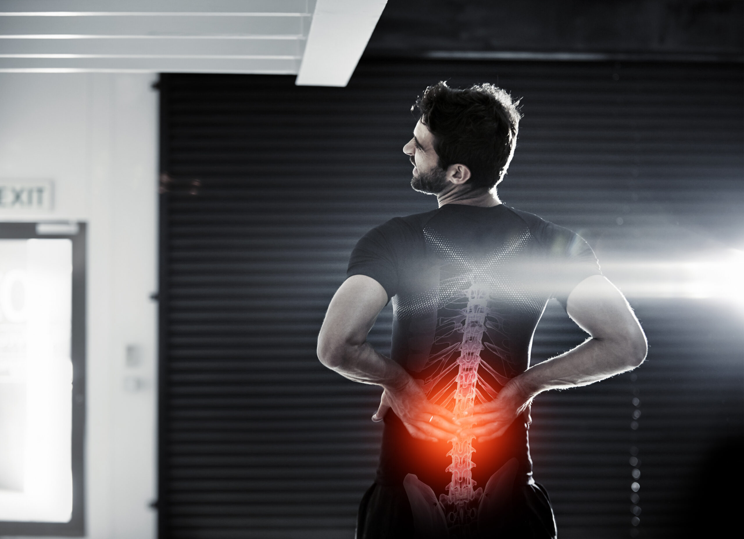 Urban Spine and Joint