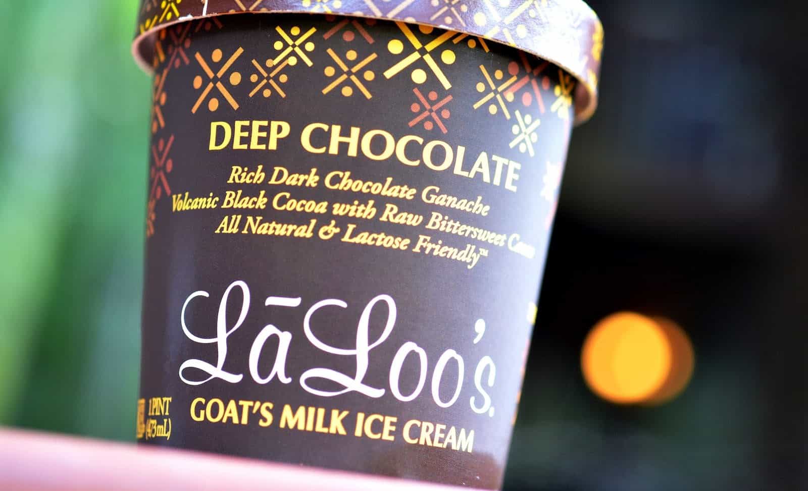 Best Lactose Free Ice Cream List Ultimate Guide (2023) Urban Tastebud