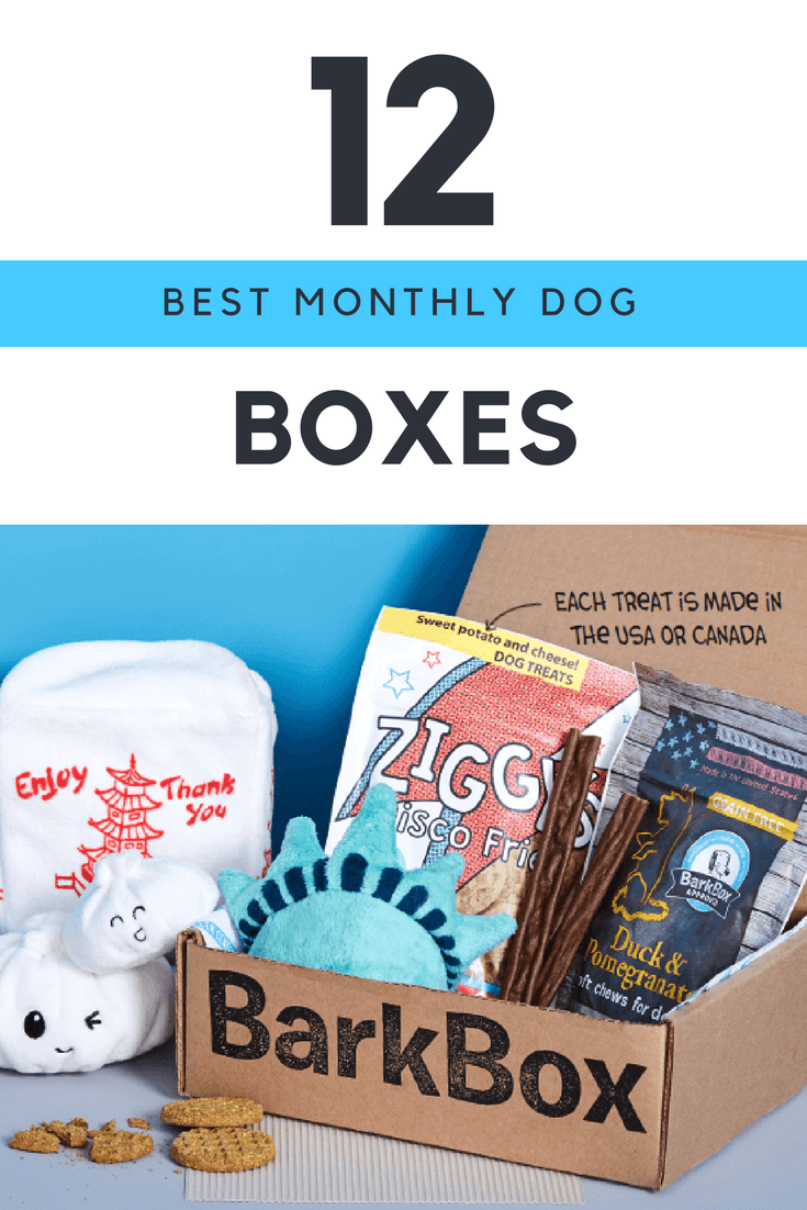 17 Best Monthly Dog Subscription Boxes Urban Tastebud