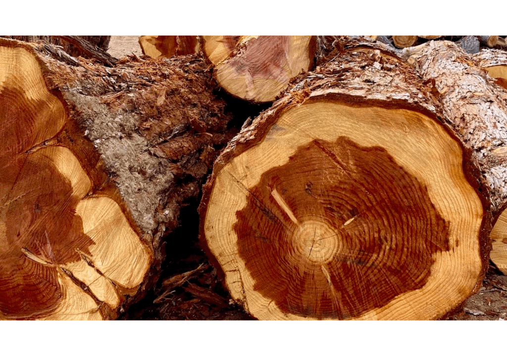 Timber Ridge Woodworks and Sawmill Urban Wood Network