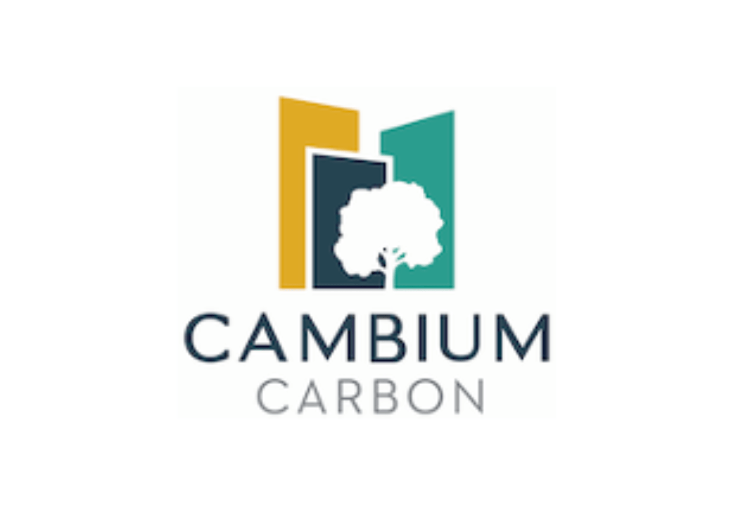 Cambium Carbon Urban Wood Network