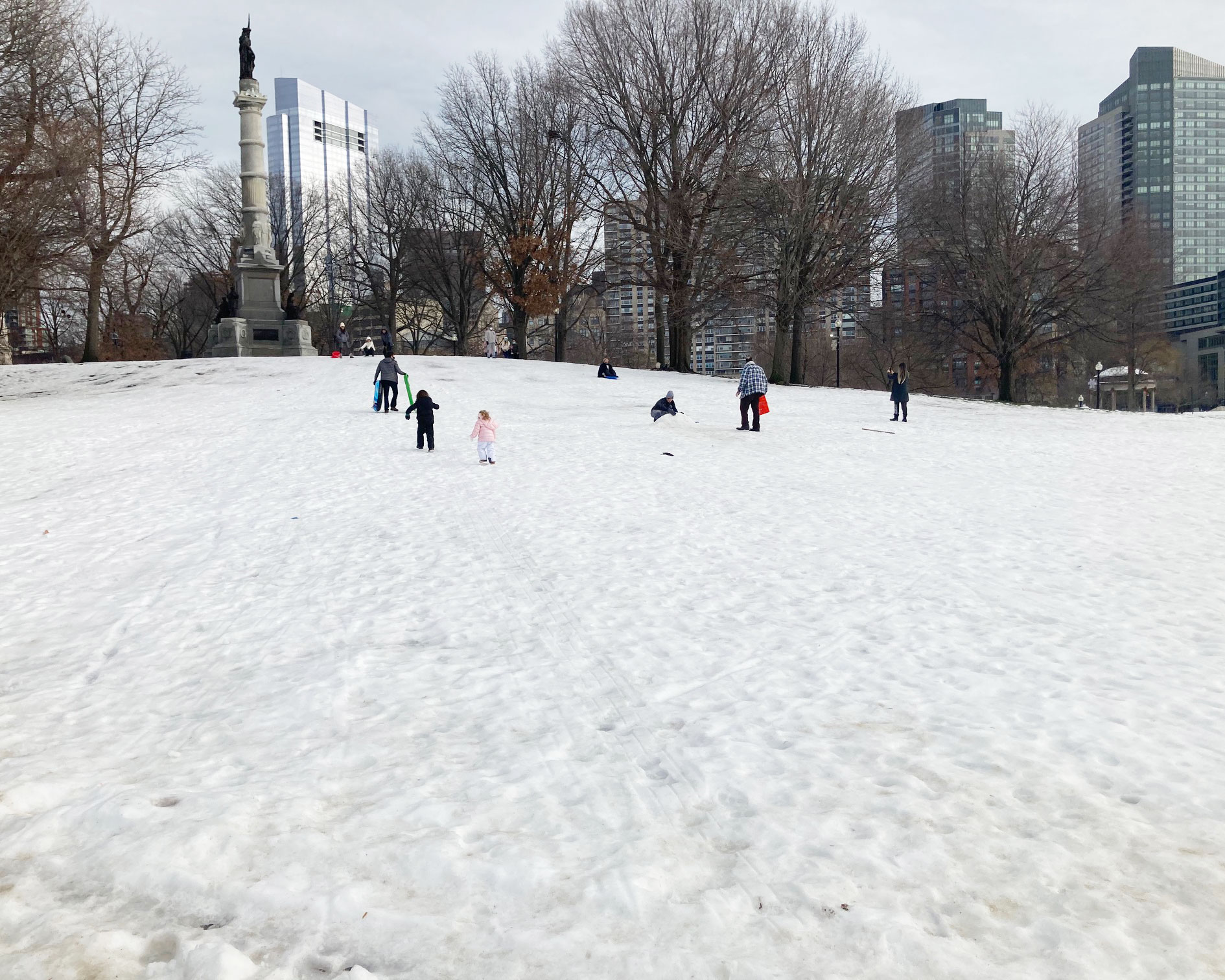20+ Sledding Hills in Boston