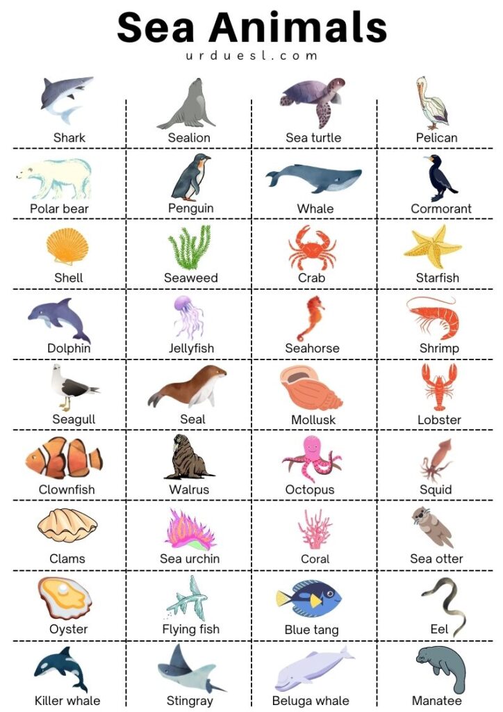 Water Animals Chart