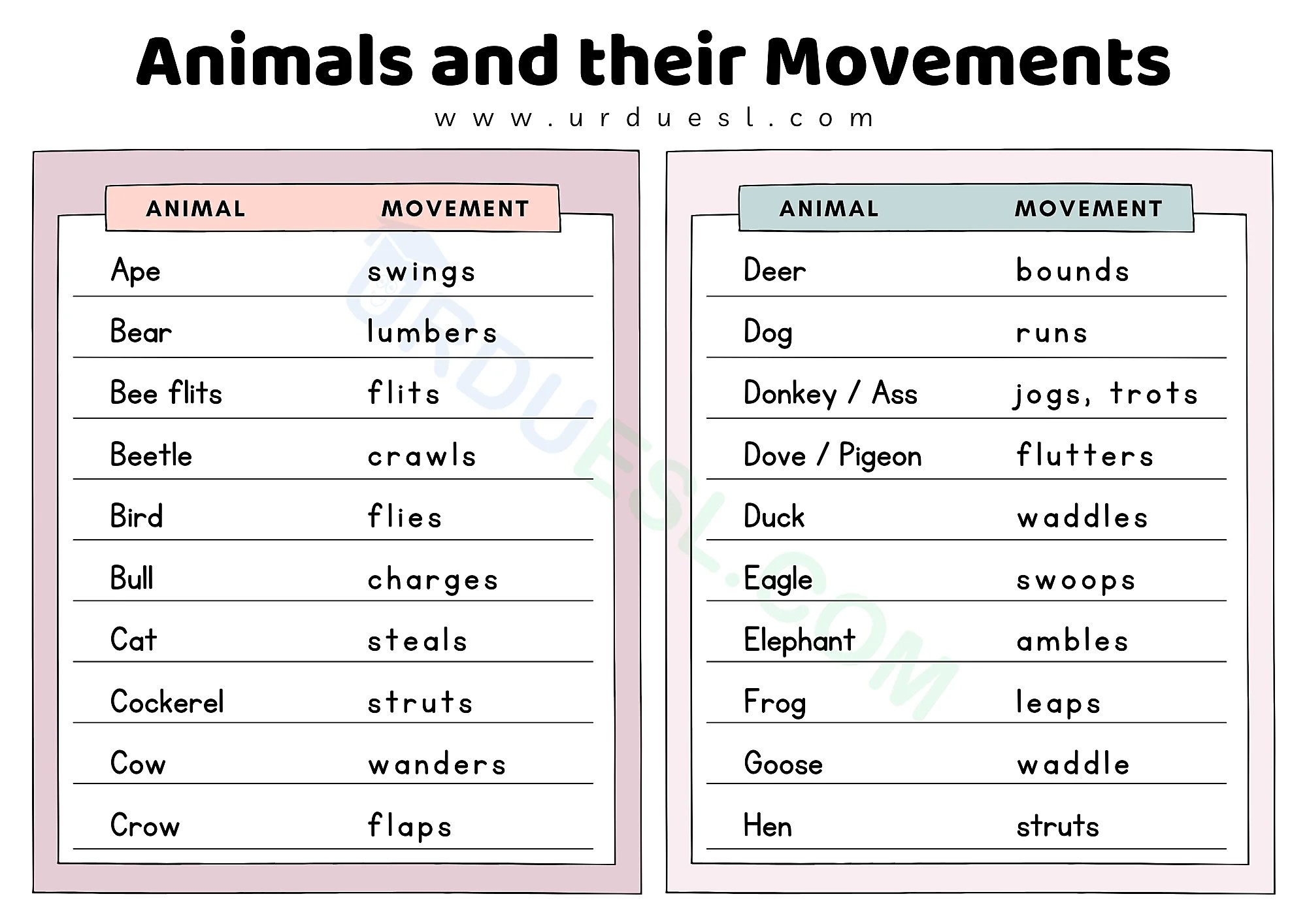 Animals and their Movements List with Chart
