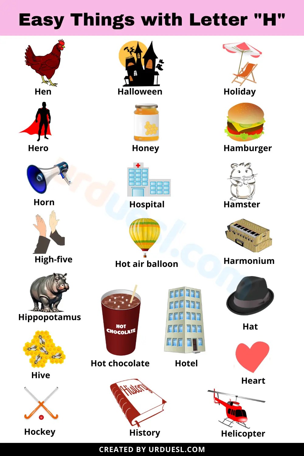 Household Items that Start with H Easy Things with Letter H