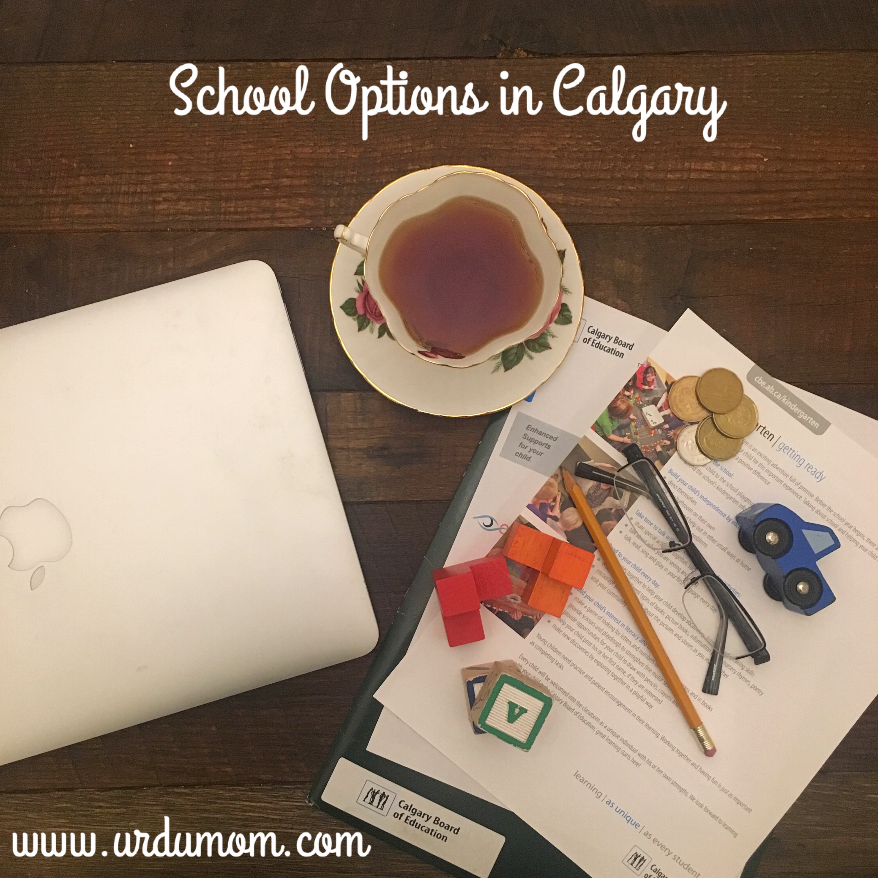 Schools in Calgary A Comprehensive Guide Super Urdu Mom