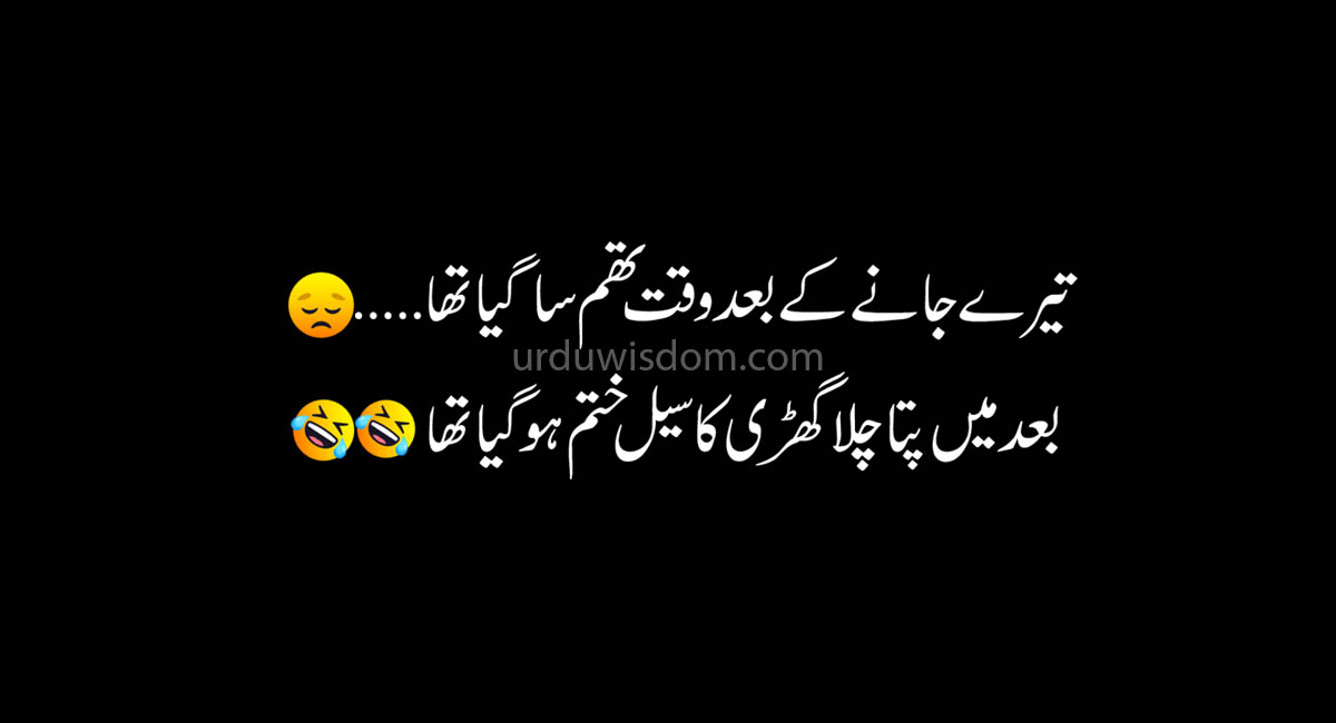 Best Funny Jokes in UrduFunny Quotes 2020 Urdu Wisdom