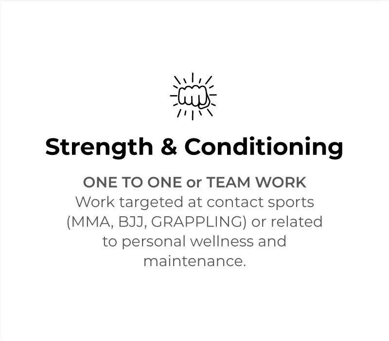 Strength & Conditioning Brazilian Jiu Jitsu Endless Will