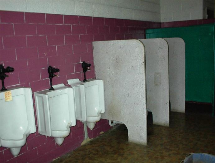 The Urinals of a former school house in Leesburg, PA