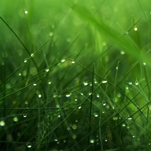 35 Beautiful iPad Wallpapers URLM