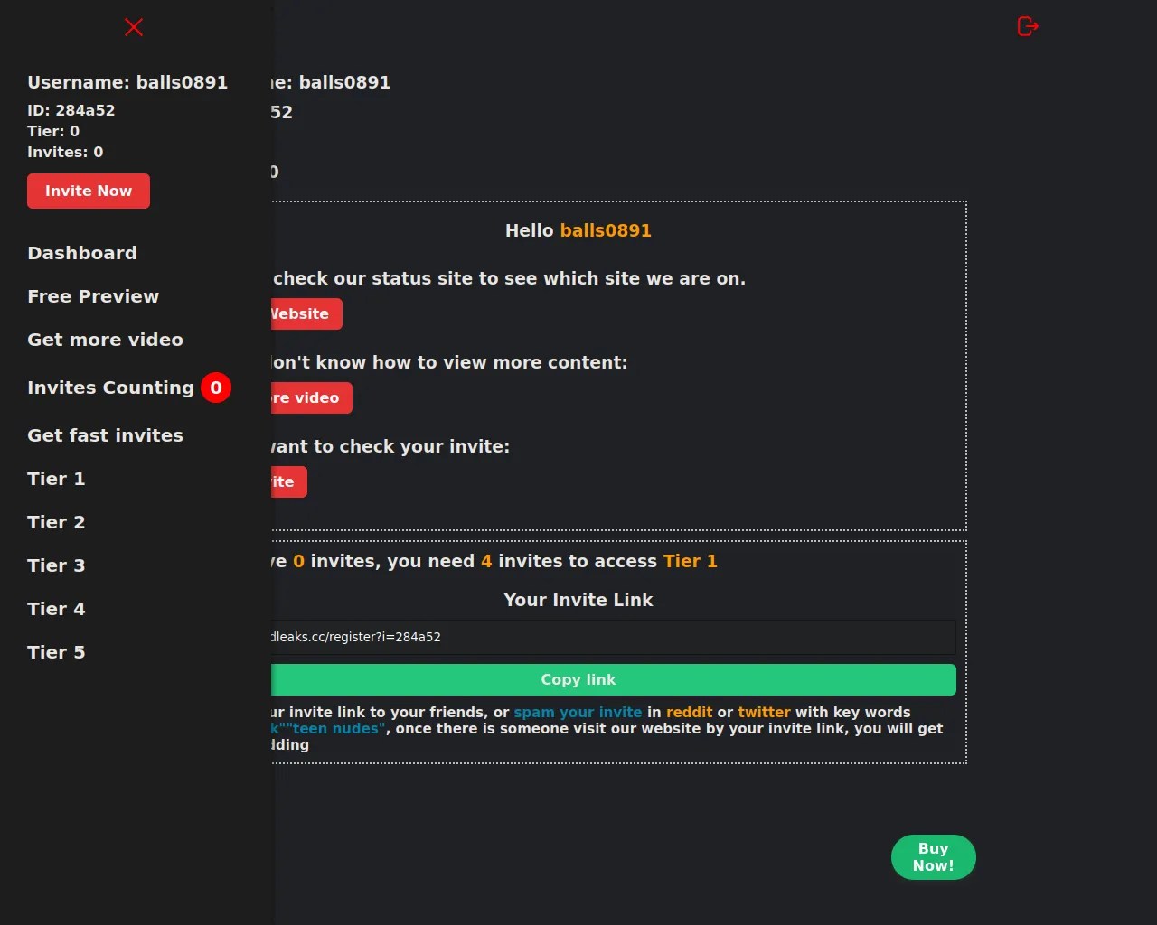 Report - godleaks.cc/register?i=41da8a