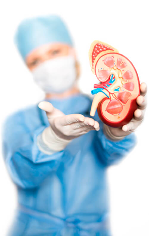 Kidney stones (Nephrolithiasis) Urólogo en Guadalajara