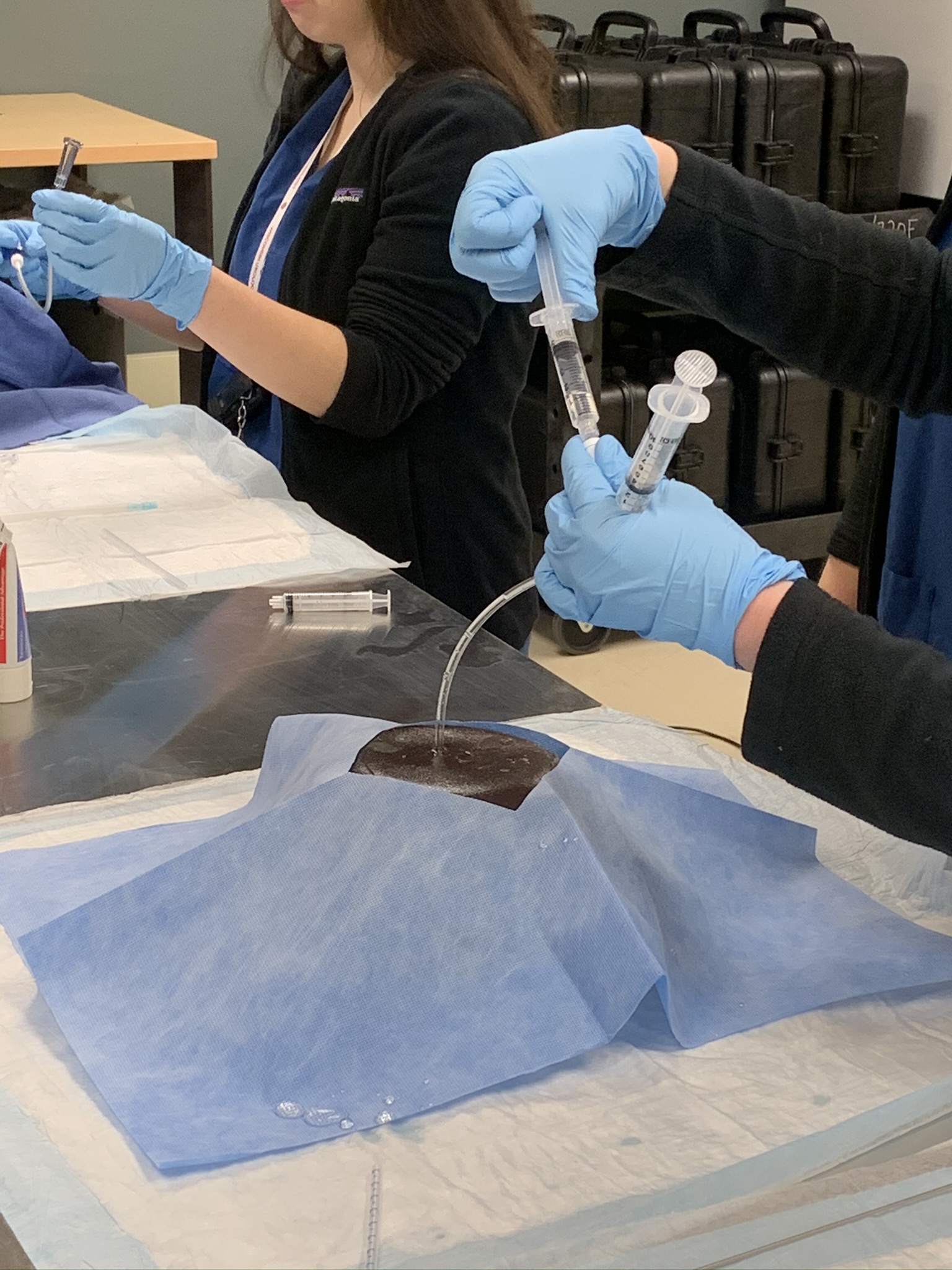 Suprapubic Catheter Tube Placement Lab Department of Urology