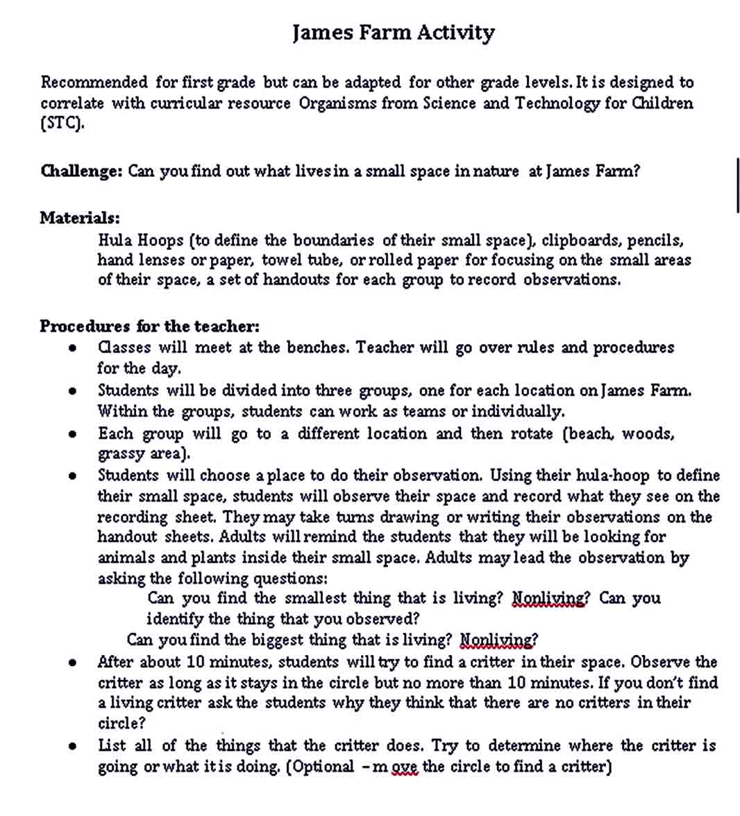 Lesson Plan For 1st Grade Templates room