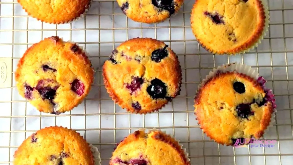 Kodiak Pancake Muffin Recipe Your Recipe