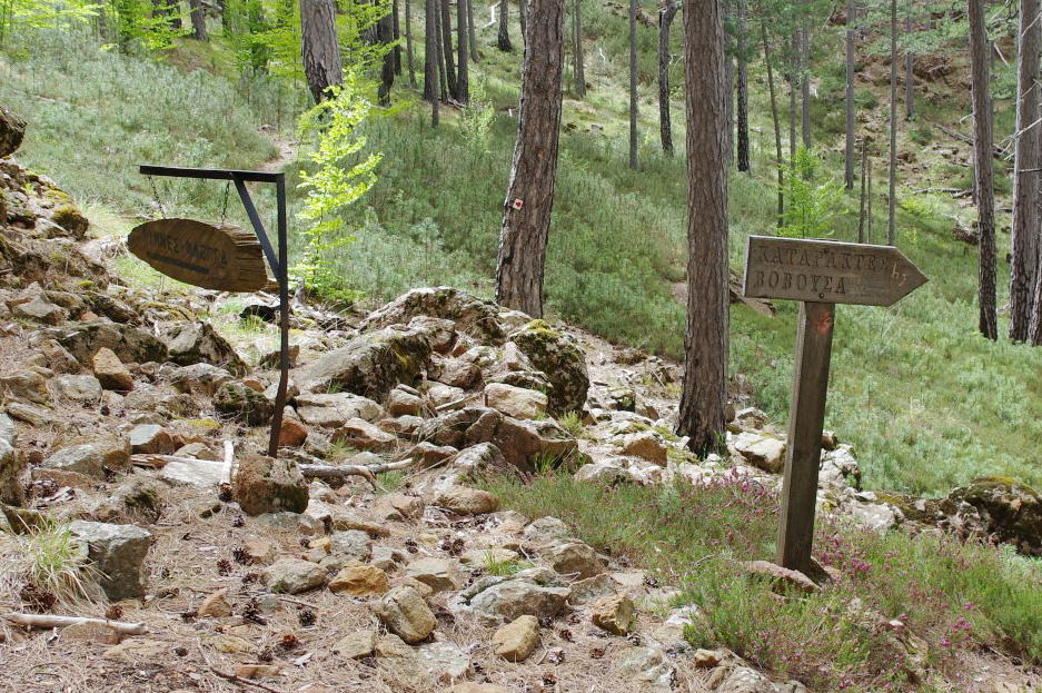 Other hiking paths around Metsovo Ursa Trail Hiking in Metsovo area