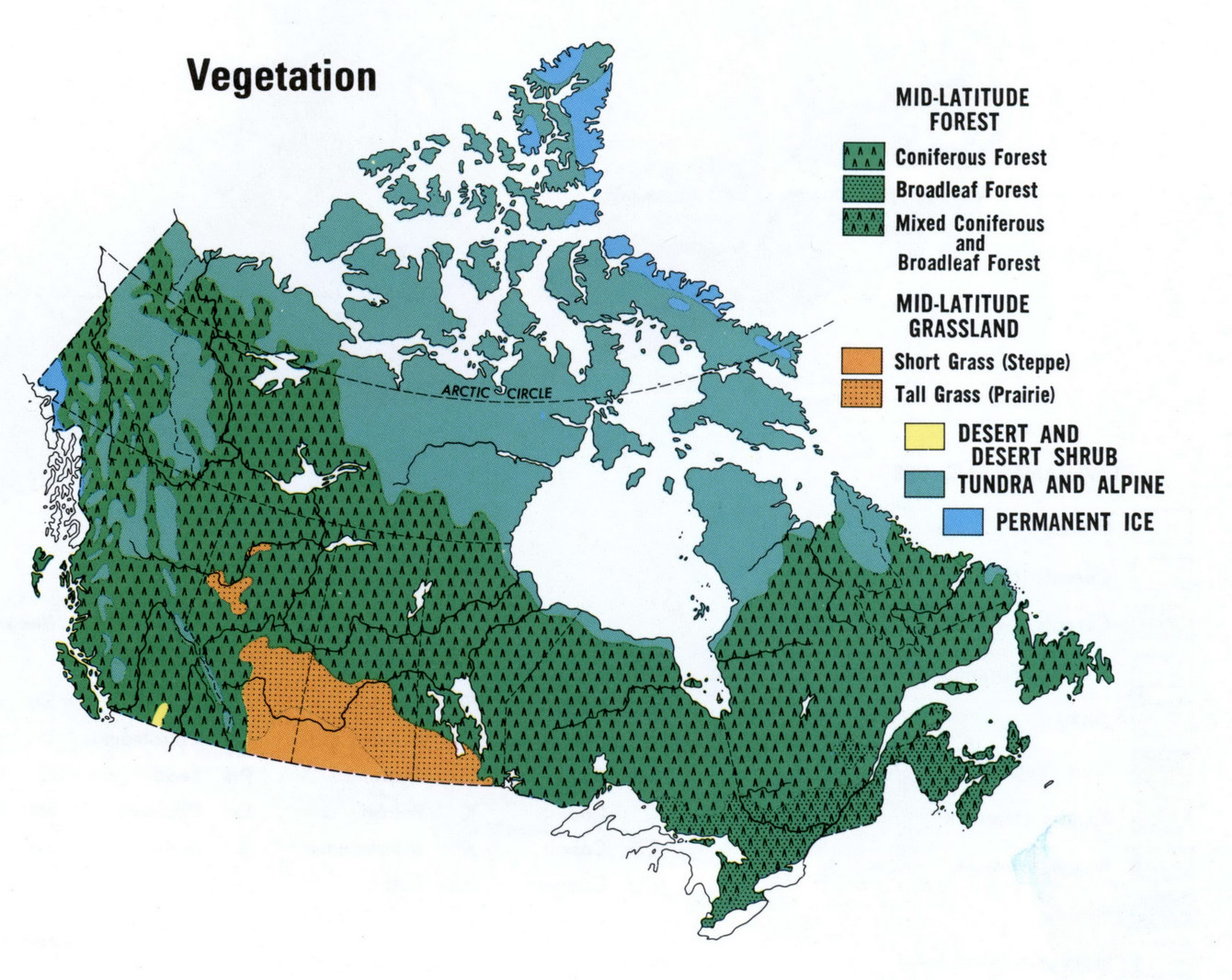 Vegetation resources of Canada on the map detailed large scale free