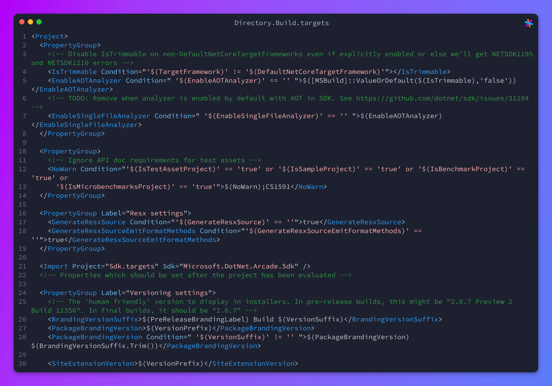Directory.Build.targets Sourcegraph