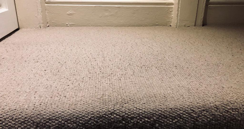 Severe Pilling on a Carpet 50 Wool / 50 Synthetic — MoneySavingExpert