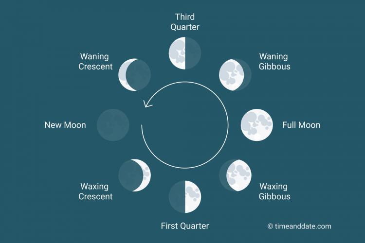 We cannot see a new moon in our sky because __________. aA. A new moon