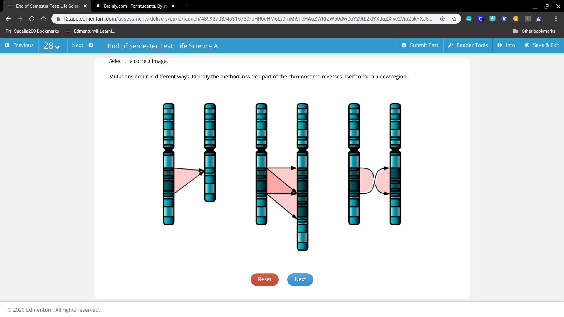 Mutations occur in different ways. Identify the method in