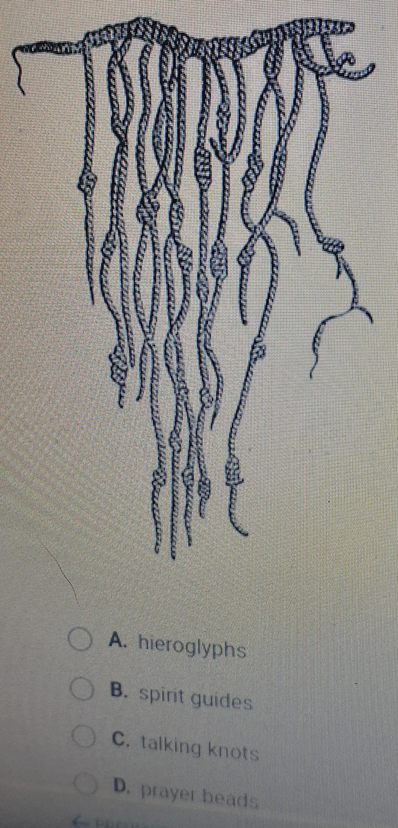 Look at this drawing of an Inca quipu. These recording devices were known A. hieroglyphs B