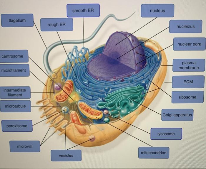 Inside the Cell’s Identity Crisis: MIT’s Revolutionary Genetic ...