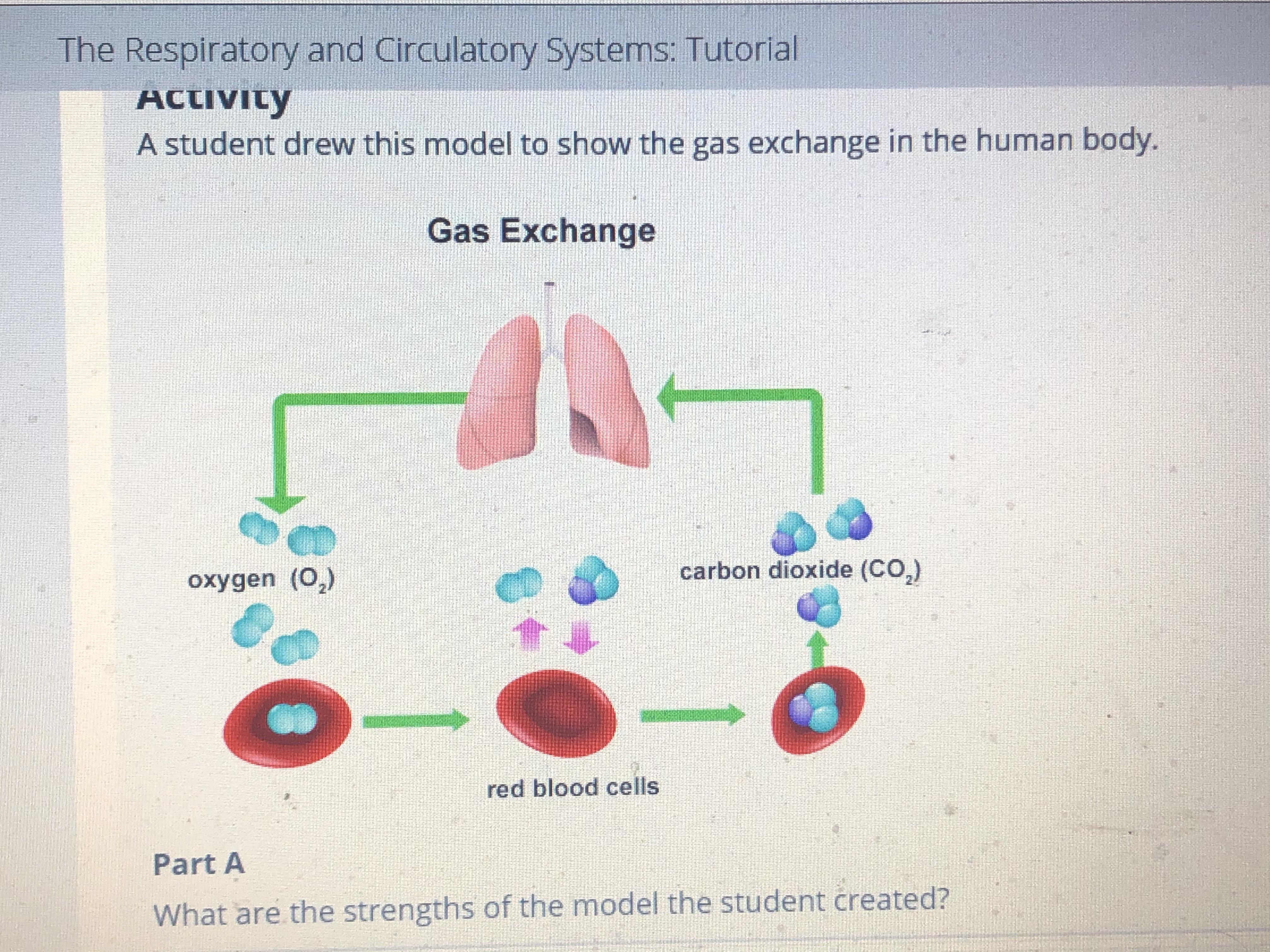 Which Layers Make Up The Lithosphere Of Earth Brainly The Earth