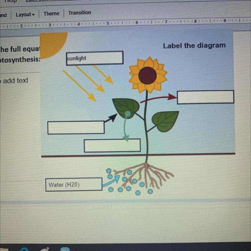label the diagram for photosynthesis - brainly.com
