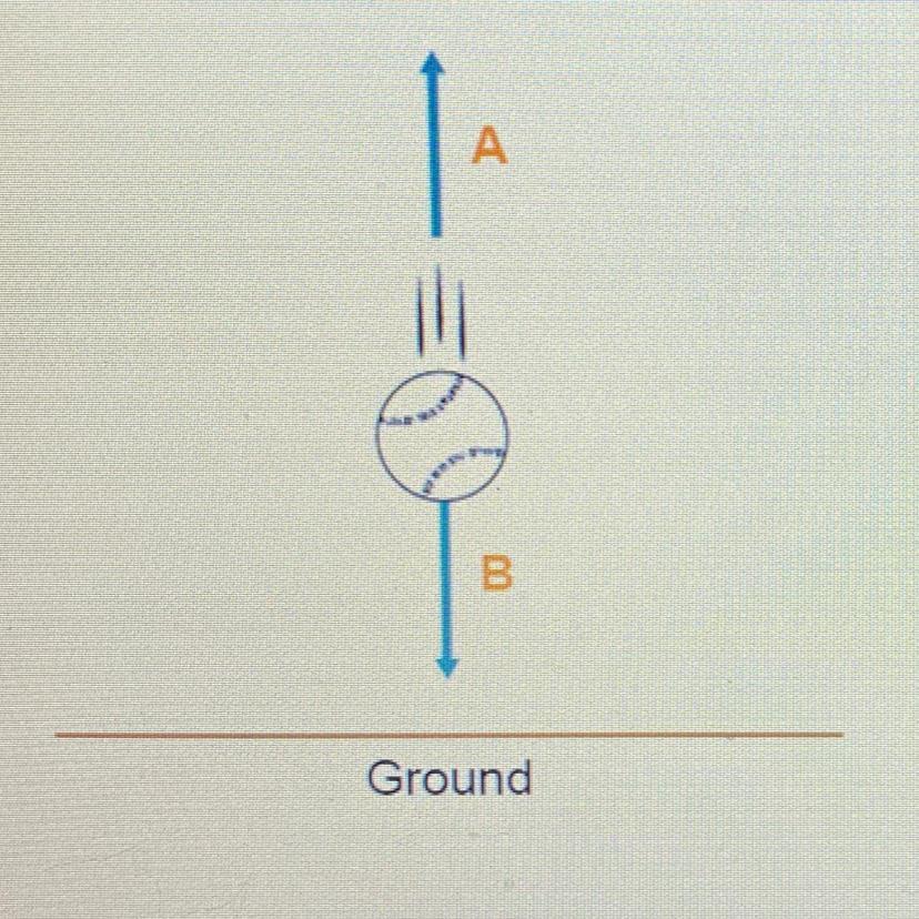 entlying A and B are forces acting on a falling object