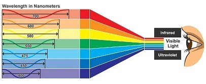 Look At The Diagram Showing The Different Wavelengths In Sunlight. Which Statement Describes - Brainly.com