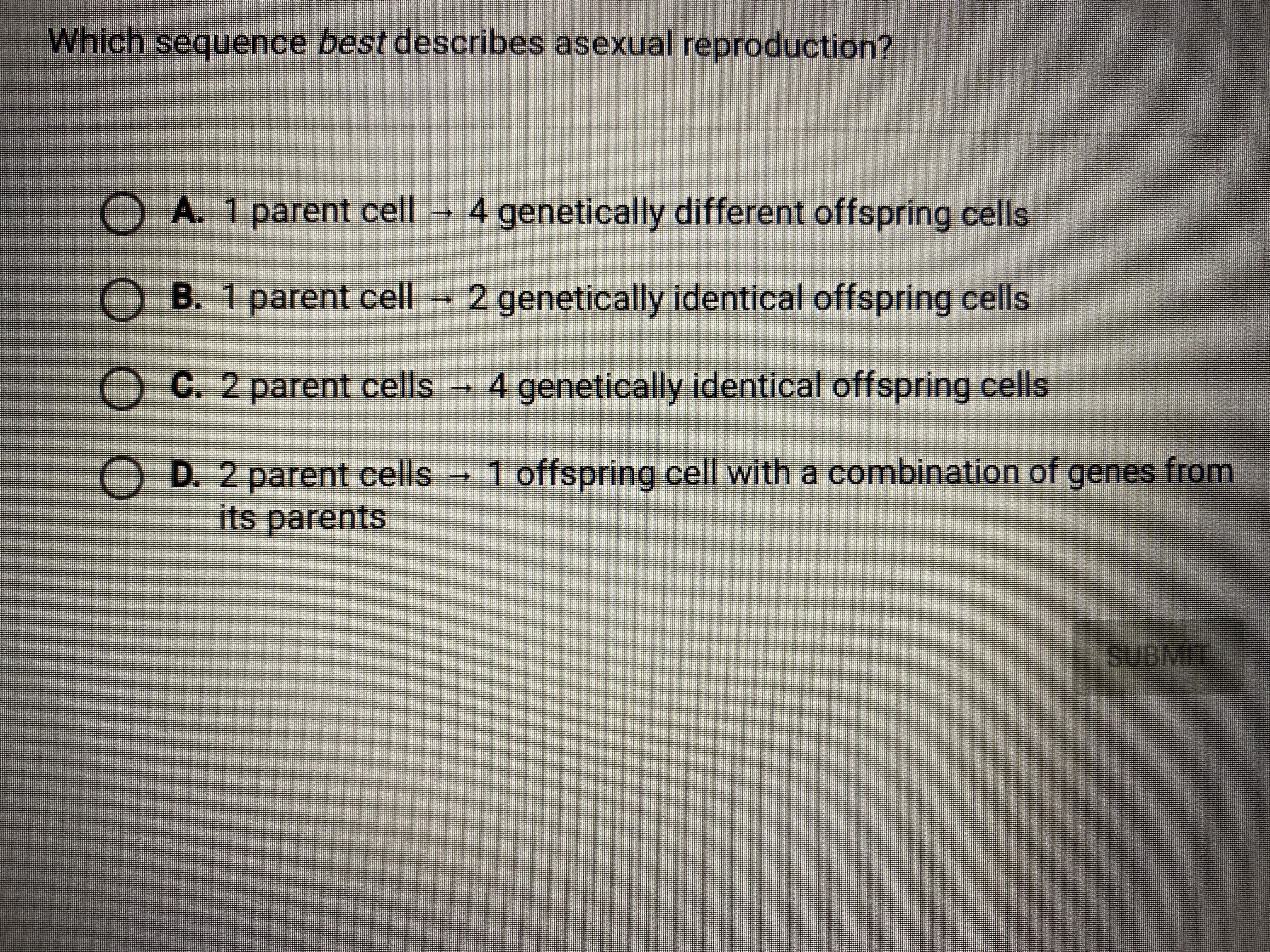 Which Sequence Best Describes Asexual Reproduction? - Brainly.com