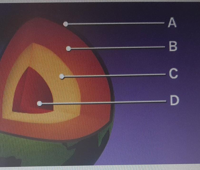 ⚗️Which layer in this model represents the least dense layer of the