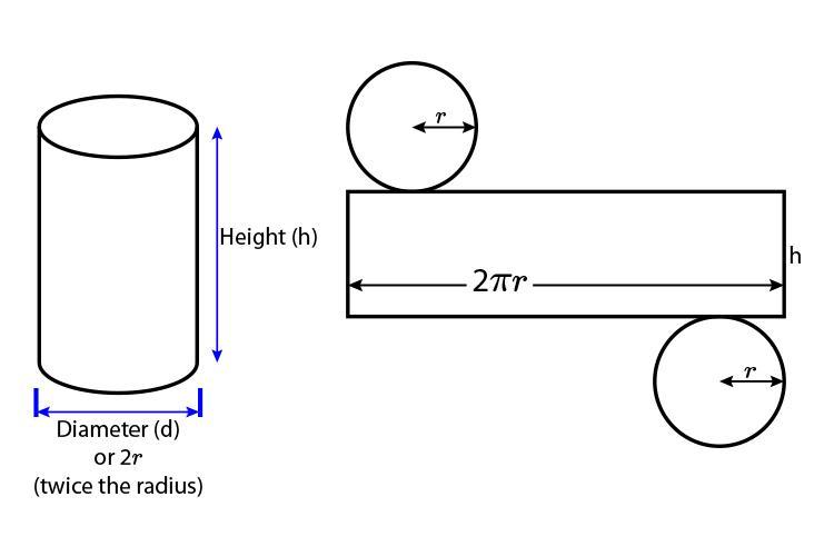 If you draw a net for a cylinder, such as a soup can, how many two