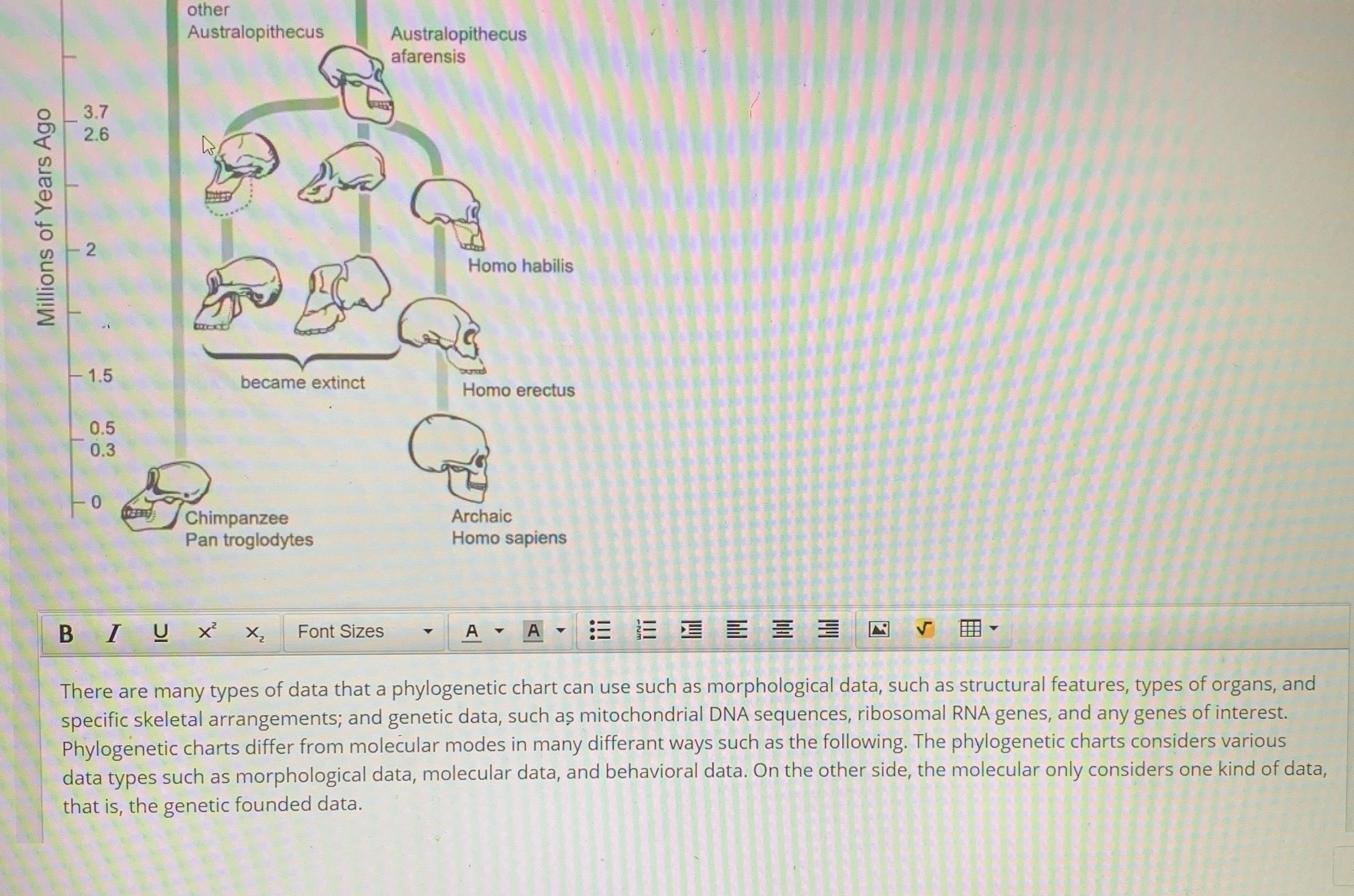 Part E Your molecular clock model resembles another branching chart