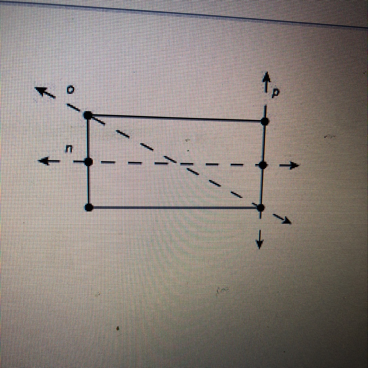 which line is a line of symmetry in this rectangle? a. line n b. line o