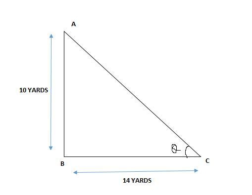 Find The Angle Of Elevation Of The Sun From The Ground When A Tree That Is 10 Yards Tall Cast A - Brainly.com