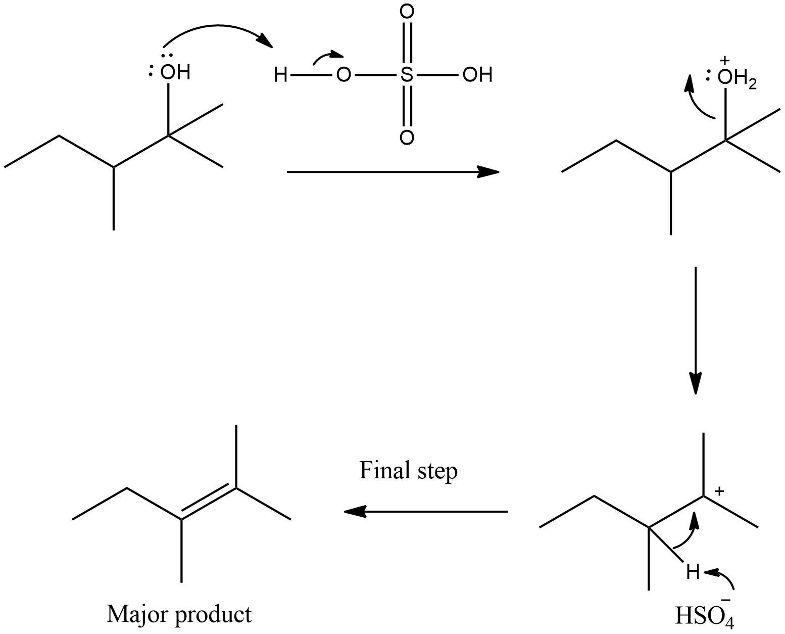 Draw the final step of the mechanism and predict the major product