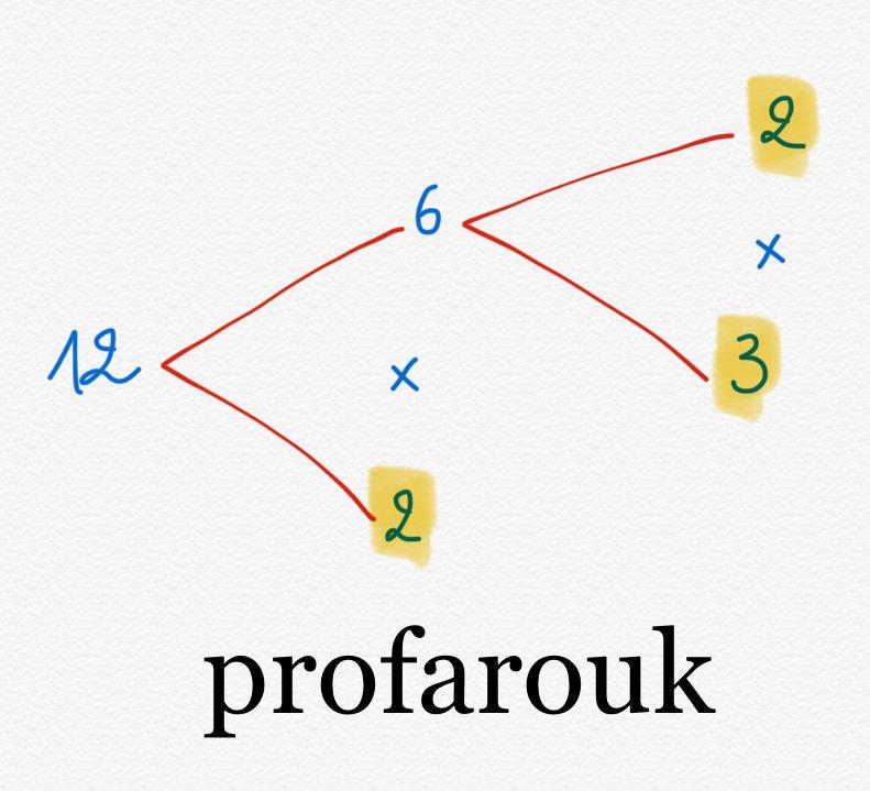 draw a factor tree to show the prime factors for 12