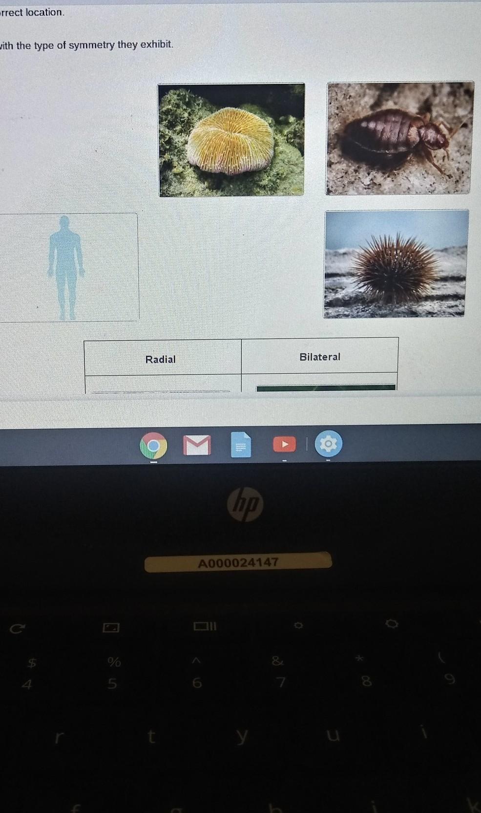 Drag each tile to the correct location.Match the organisms with the