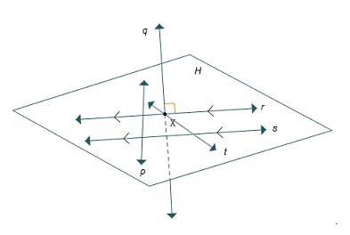 Which Line Is Parallel To Line R? Line P Line Q Line S Line T - Brainly.com