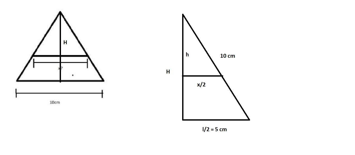 Tienes un triángulo equilátero con lados de 10cm, lo