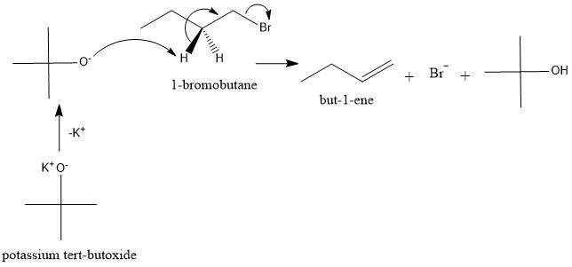 What is the major elimination product in the reaction of 1bromobutane