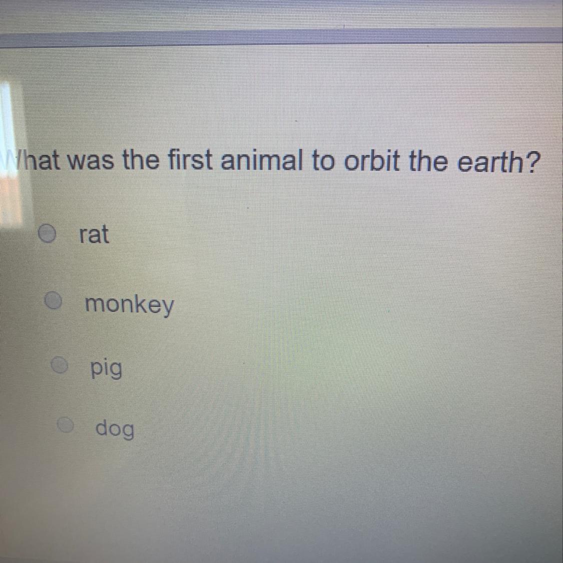What was the first animal to orbit the earth? rat monkey pig dog