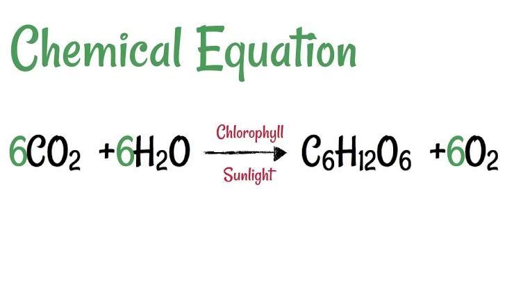 How many carbon atoms are on the reactant side of the equation below